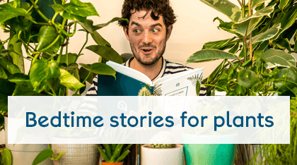 Bedtime stories for plants